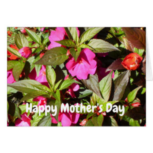 New Guinea Pink Busy Lizzie Moederdag