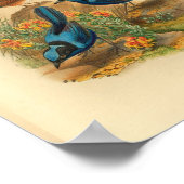 New Guinea Todopsis Wren Blue Bird  Print (Hoek)