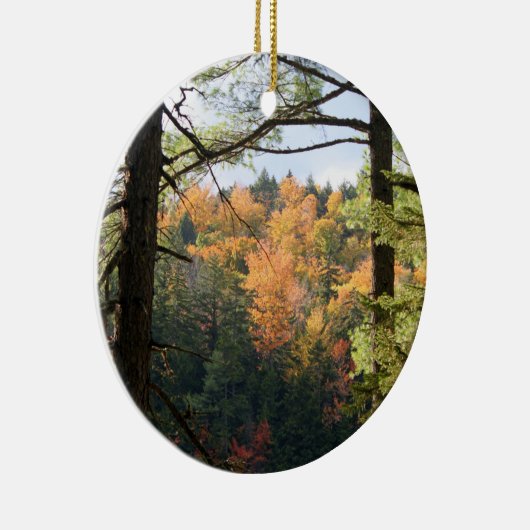 New Hampshire 7729 Ornament (Rechts)