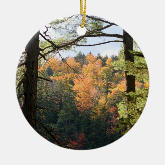 New Hampshire 7729 Ornament (Voorkant)