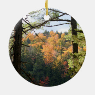 New Hampshire 7729 Ornament