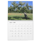 New Hampshire Apple Orchards Calendar Kalender (Mar 2027)