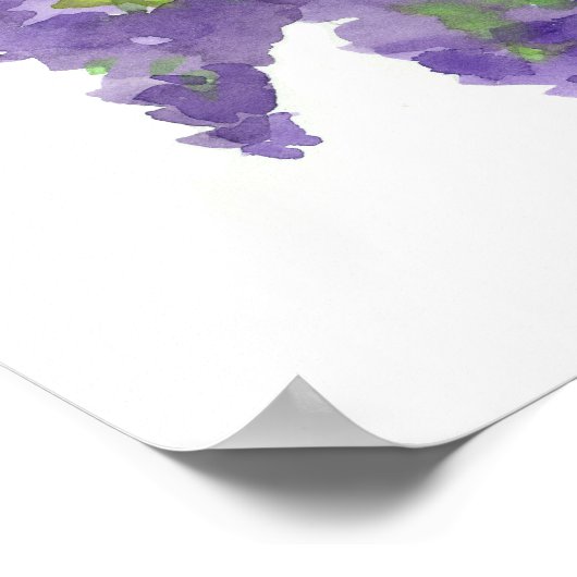 New Hampshire Bird Paars Finch Lilacs Poster (Hoek)