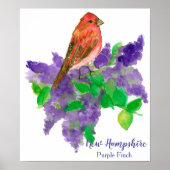 New Hampshire Bird Paars Finch Lilacs Poster (Voorkant)