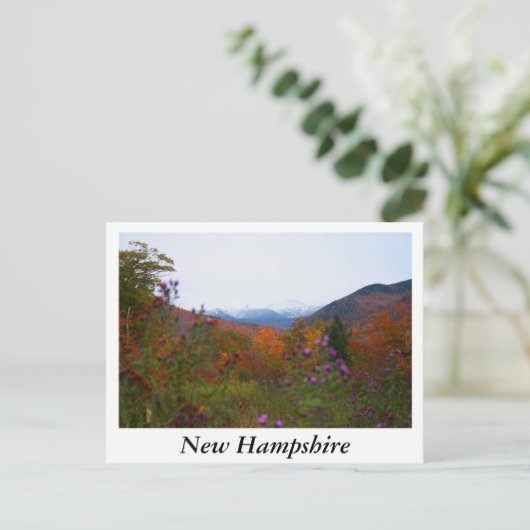 New Hampshire Briefkaart (Staand voorkant)