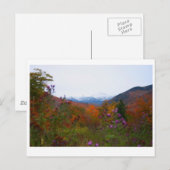 New Hampshire Briefkaart (Voorkant / Achterkant)