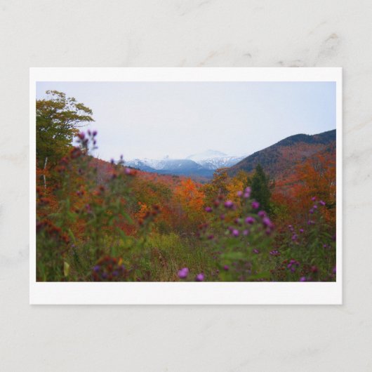 New Hampshire Briefkaart (Voorkant)