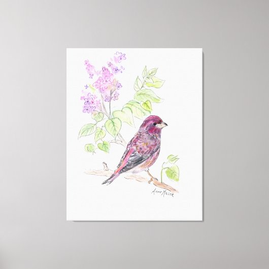 New Hampshire Canvas Afdruk (Voorkant)