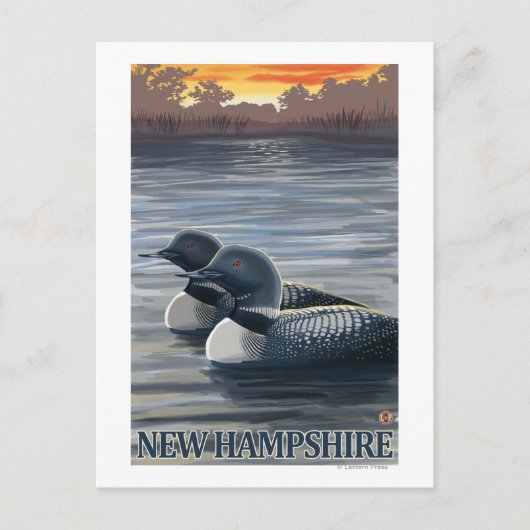 New Hampshire Common Loon Briefkaart (Voorkant)