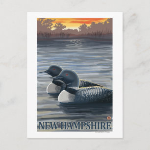 New Hampshire Common Loon Briefkaart
