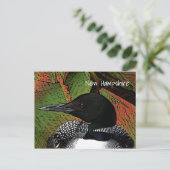New Hampshire Common Loon Briefkaart (Staand voorkant)