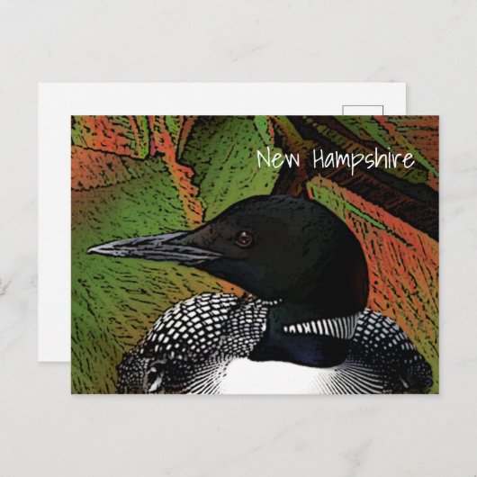 New Hampshire Common Loon Briefkaart (Voorkant / Achterkant)