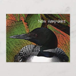 New Hampshire Common Loon Briefkaart