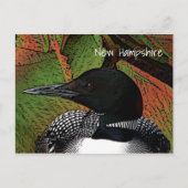 New Hampshire Common Loon Briefkaart (Voorkant)
