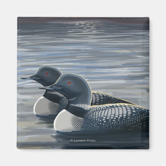 New Hampshire Common Loon Magneet (Voorkant)
