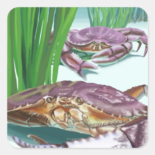 New Hampshire Crab en Fisherman Vierkante Sticker (Voorkant)