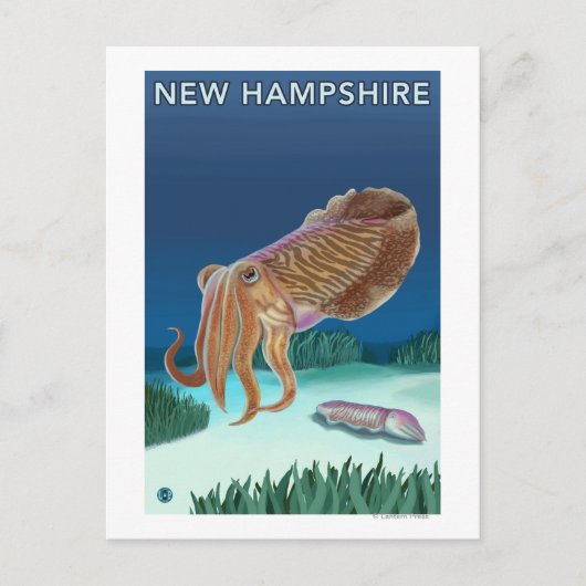New Hampshire Cuttlefish Scene Briefkaart (Voorkant)