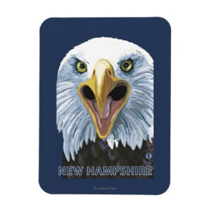 New Hampshire Eagle Up Close Magneet
