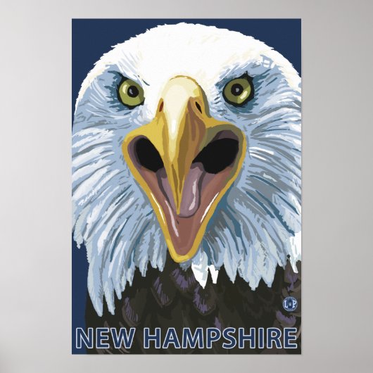 New Hampshire Eagle Up Close Poster (Voorkant)