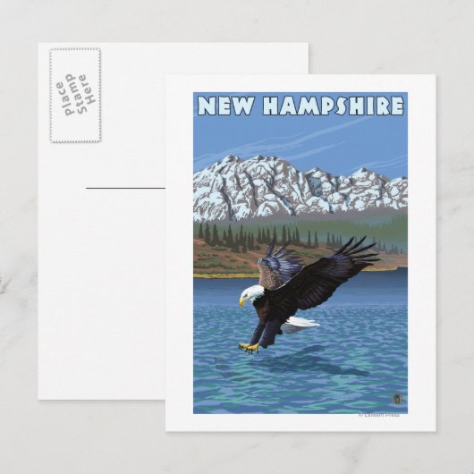 New Hampshire Eagle Vist Briefkaart (Voorkant / Achterkant)