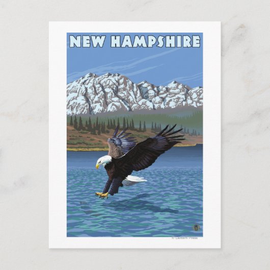 New Hampshire Eagle Vist Briefkaart (Voorkant)