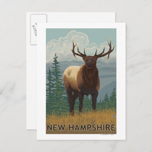 New Hampshire Elk Scene Briefkaart (Voorkant / Achterkant)