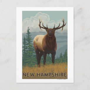 New Hampshire Elk Scene Briefkaart