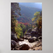 New Hampshire Fall Colors Poster (Voorkant)