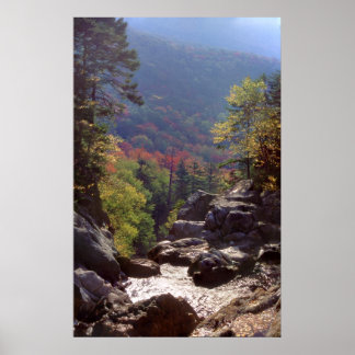 New Hampshire Fall Colors Poster