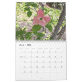 New Hampshire Flora Calendar Kalender (Mar 2026)