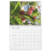 New Hampshire Flora Kalender 4 (Mar 2026)
