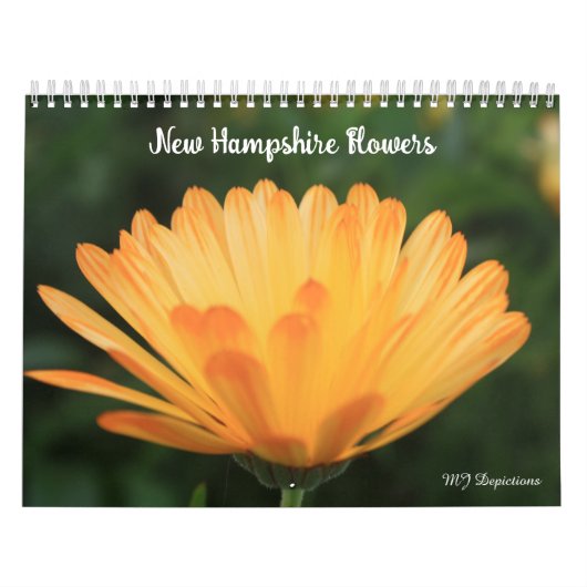 New Hampshire Flora Kalender 4 (Hoes)
