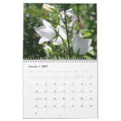 New Hampshire Flora Kalender 4 (Jan 2027)
