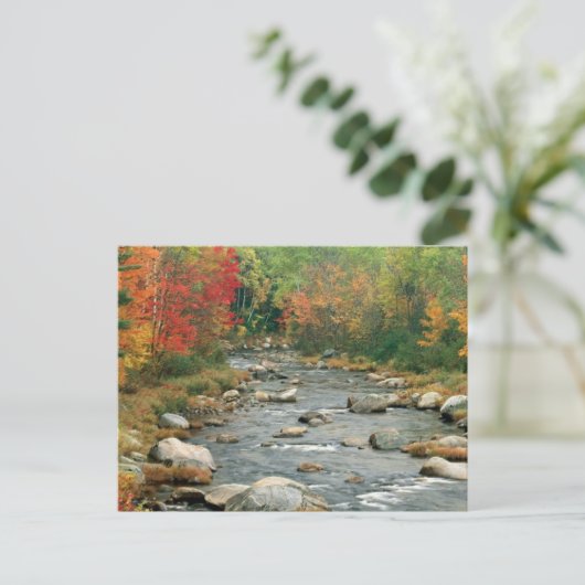 New Hampshire Herfst Briefkaart (Staand voorkant)