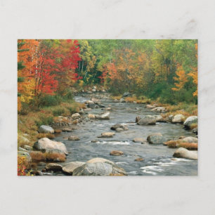 New Hampshire Herfst Briefkaart