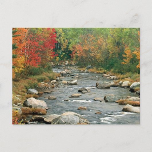 New Hampshire Herfst Briefkaart (Voorkant)