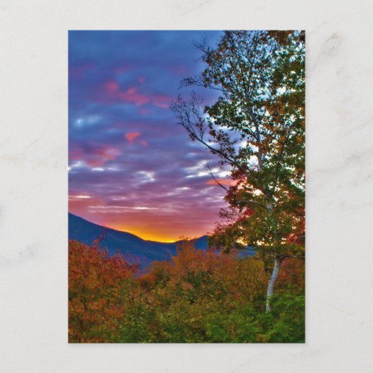 New Hampshire Herfst Foliage Sunset Briefkaart (Voorkant)
