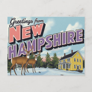 New Hampshire Herten Winterse Landschap Briefkaart