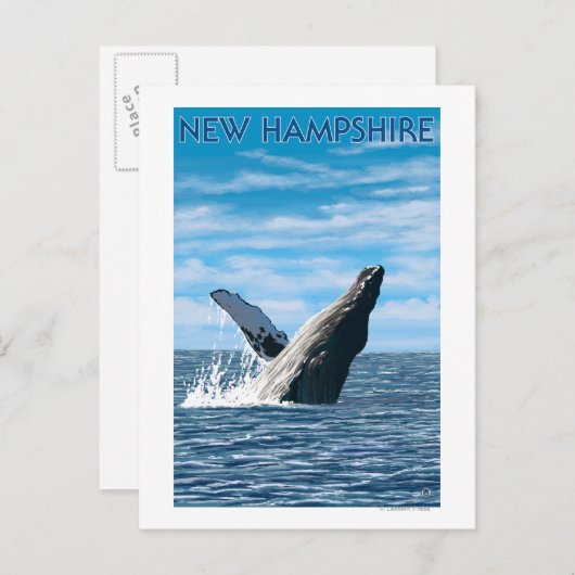 New Hampshire Humpback Whale Scene Briefkaart (Voorkant / Achterkant)