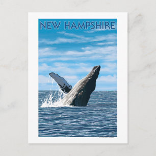 New Hampshire Humpback Whale Scene Briefkaart