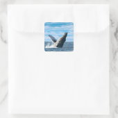 New Hampshire Humpback Whale Scene Vierkante Sticker (Tas)