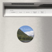 New Hampshire ijskast magneet (Insitu (Vaatwasser))