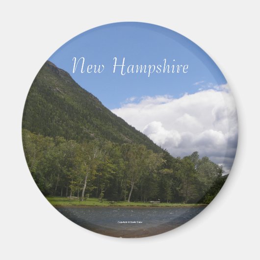 New Hampshire ijskast magneet (Voorkant)