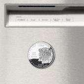 New Hampshire Magneet (Insitu (Vaatwasser))