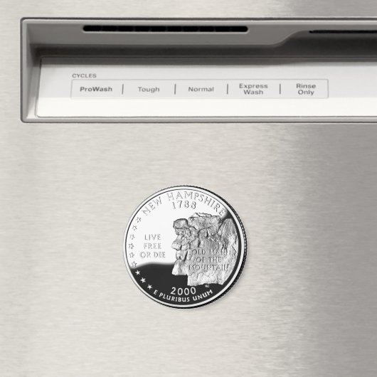 New Hampshire Magneet (Insitu (Vaatwasser))