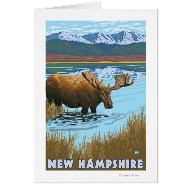 New Hampshire Moose Drink in Lake (Voorkant)