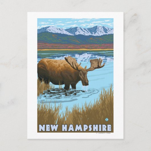 New Hampshire Moose Drink in Lake Briefkaart (Voorkant)