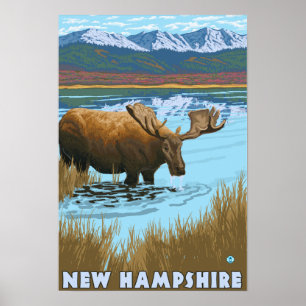 New Hampshire Moose Drink in Lake Poster