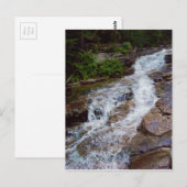 New Hampshire Mountain Water Briefkaart (Voorkant / Achterkant)