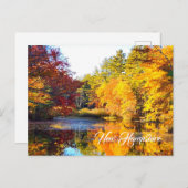 New Hampshire najaar Briefkaart (Voorkant / Achterkant)
